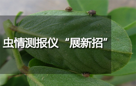 蟲情測報儀“展新招”