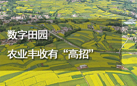 數(shù)字田園 農(nóng)業(yè)豐收有“高招”
