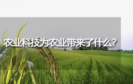 農(nóng)業(yè)科技為農(nóng)業(yè)帶來了什么？