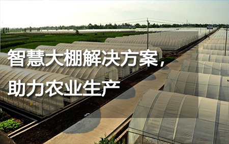 智慧大棚解決方案，助力農(nóng)業(yè)生產(chǎn)