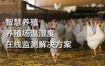 智慧養(yǎng)殖——養(yǎng)殖場溫濕度在線監(jiān)測解決方案