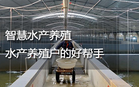 智慧水產(chǎn)養(yǎng)殖——水產(chǎn)養(yǎng)殖戶的好幫手