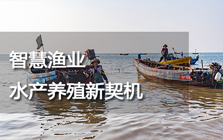 智慧漁業(yè)——水產(chǎn)養(yǎng)殖新契機(jī)