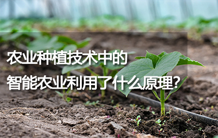 農(nóng)業(yè)種植技術(shù)中的智能農(nóng)業(yè)利用了什么原理？