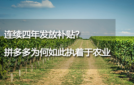 連續(xù)四年發(fā)放補(bǔ)貼？拼多多為何如此執(zhí)著于農(nóng)業(yè)