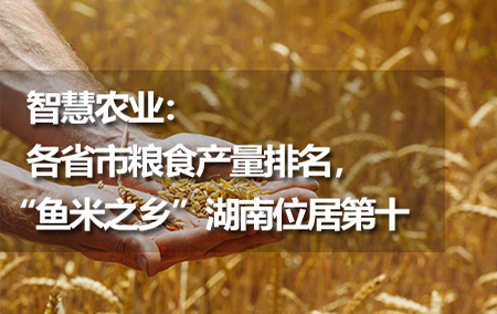智慧農(nóng)業(yè)：各省市糧食產(chǎn)量排名，“魚米之鄉(xiāng)”湖南位居第十