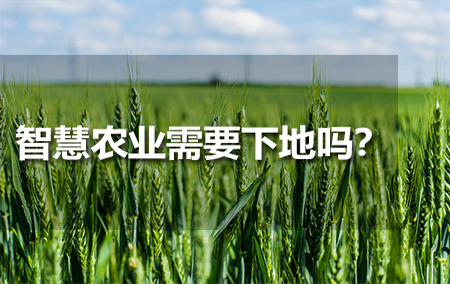 智慧農(nóng)業(yè)需要下地嗎？