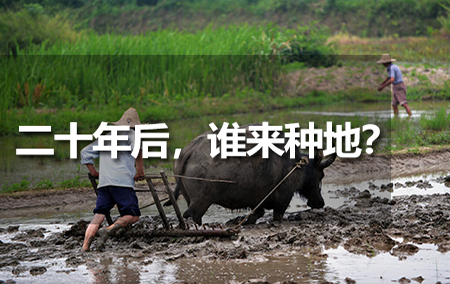 二十年后，誰來種地？