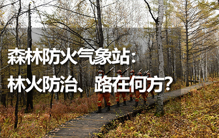 森林防火氣象站：林火防治、路在何方？