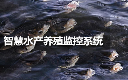 智慧水產(chǎn)養(yǎng)殖監(jiān)控系統(tǒng)