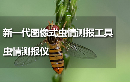 新一代圖像式蟲情測報工具——蟲情測報儀