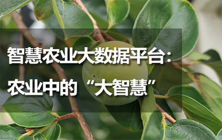 智慧農(nóng)業(yè)大數(shù)據(jù)平臺：農(nóng)業(yè)中的“大智慧”