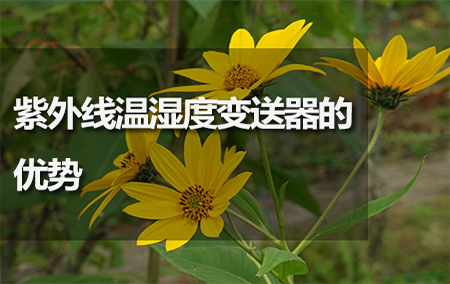 紫外線溫濕度變送器的優(yōu)勢