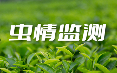 熱銷產(chǎn)品推薦丨農(nóng)林業(yè)專用智能蟲情測報儀