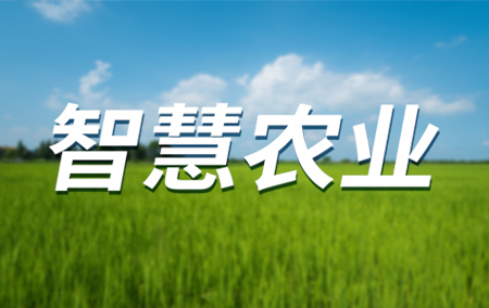熱銷產(chǎn)品推薦丨遠(yuǎn)距離、低功耗、高性能的智慧農(nóng)業(yè)無線灌溉系統(tǒng)