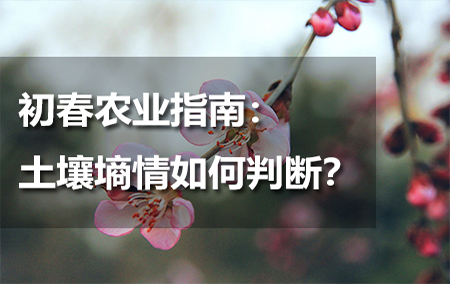 初春農(nóng)業(yè)指南：土壤墑情如何判斷？