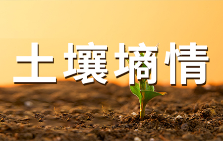 LORA無線土壤在線集中監(jiān)測系統(tǒng)