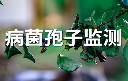 熱銷產(chǎn)品推薦丨便攜式全自動孢子捕捉分析儀