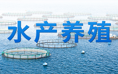 熱銷產(chǎn)品推薦丨智慧水產(chǎn)養(yǎng)殖監(jiān)控系統(tǒng)