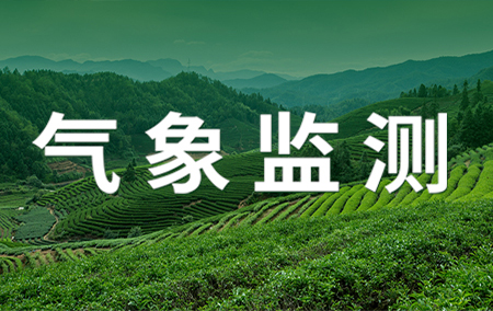 熱銷產(chǎn)品推薦丨農(nóng)林植保小氣候氣象監(jiān)測站，助力農(nóng)林養(yǎng)護(hù)科學(xué)化