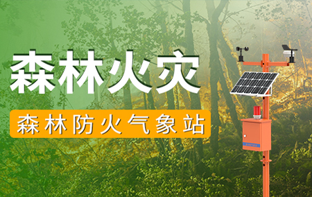 行業(yè)動態(tài)丨森林防火，不容有失！云南玉溪山火蔓延，已連燒3日！