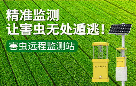 害蟲遠(yuǎn)程監(jiān)測站——裝上“千里眼”，精準(zhǔn)護(hù)良田！