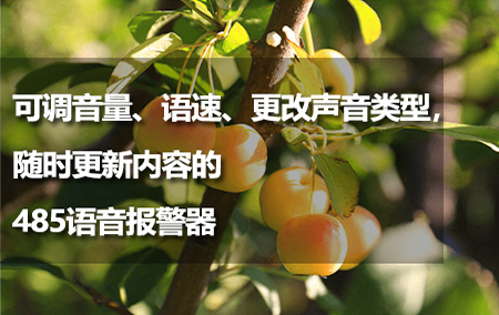 可調(diào)音量、語速、更改聲音類型，隨時更新內(nèi)容的485語音報警器