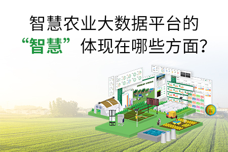 智慧農(nóng)業(yè)大數(shù)據(jù)平臺的“智慧”體現(xiàn)在哪些方面？