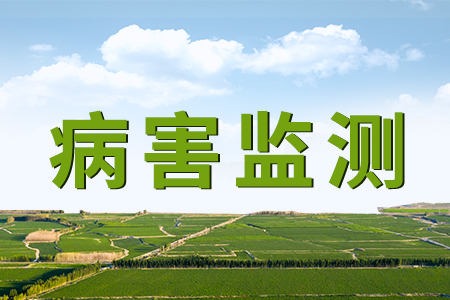 熱銷產(chǎn)品推薦丨病害的監(jiān)測與防控——全自動孢子捕捉分析儀