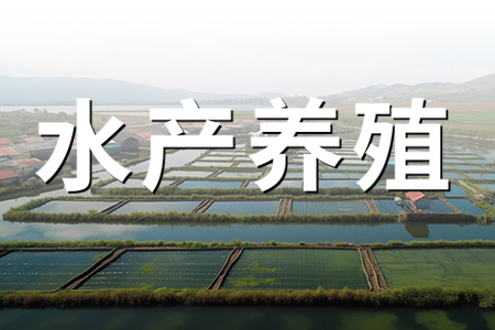 仁科小課堂丨水產(chǎn)養(yǎng)殖水質(zhì)監(jiān)測，控制好這些水質(zhì)檢測指標(biāo)，產(chǎn)量直接翻倍