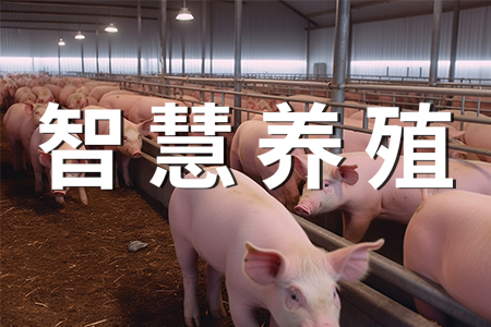 畜禽智慧養(yǎng)殖監(jiān)控系統(tǒng)