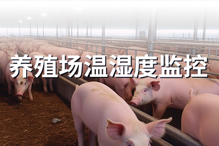 熱銷產(chǎn)品推薦丨豬被熱死事件再次發(fā)生，如何做好養(yǎng)殖場溫濕度監(jiān)測？