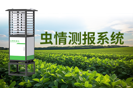 蟲情測報系統(tǒng)——蟲情測報有“方法”