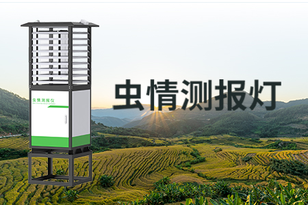 蟲情測報燈丨蟲害監(jiān)測、綠色防控