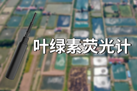 葉綠素?zé)晒庥嫞簞?chuàng)新技術(shù)助力環(huán)境監(jiān)測