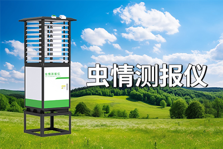蟲情測報系統(tǒng)的功能與應(yīng)用價值
