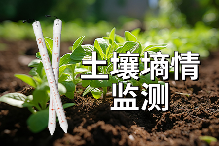 土壤墑情監(jiān)測：現(xiàn)代農(nóng)業(yè)生產(chǎn)與生態(tài)保護(hù)