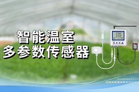 智能溫室多參數(shù)傳感器，賦能現(xiàn)代農(nóng)業(yè)管理