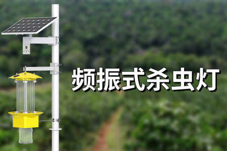 頻振式殺蟲燈是什么？?