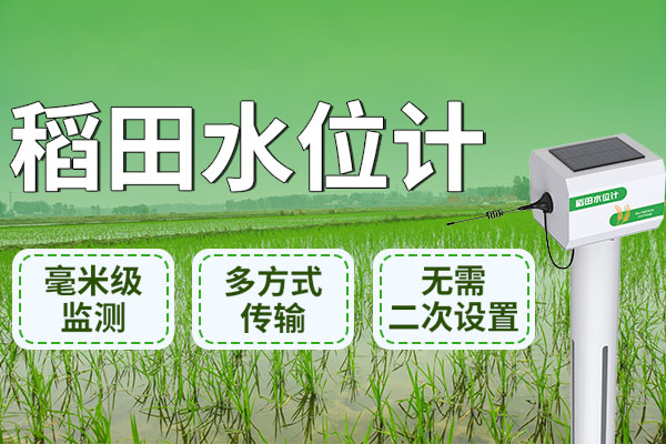 稻田水位計丨讓科技扎根土地，豐收從此觸手可及