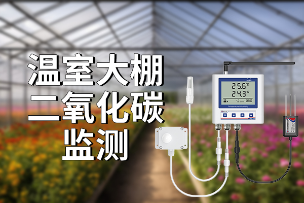 溫室大棚二氧化碳監(jiān)測：準(zhǔn)確管理，高效生產(chǎn)?