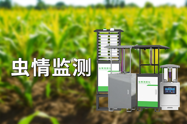 為什么要進(jìn)行蟲情監(jiān)測，重要性是什么?